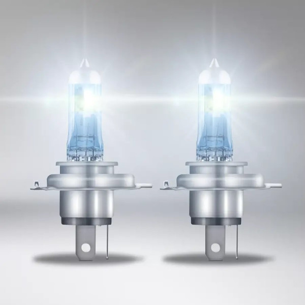 https://www.dexatron-team-shop.com/images/products/big/1174.jpeg