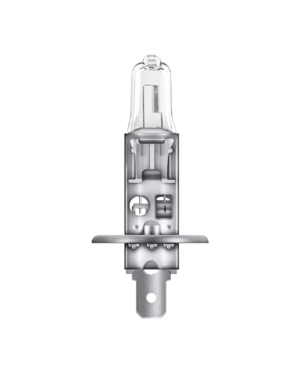 https://www.dexatron-team-shop.com/images/products/big/1240.jpeg