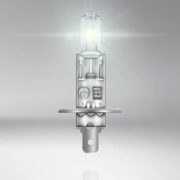 https://www.dexatron-team-shop.com/images/products/big/1241.jpeg
