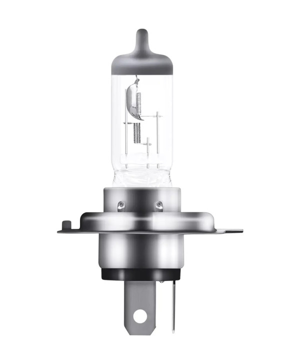 https://www.dexatron-team-shop.com/images/products/big/1261.jpeg